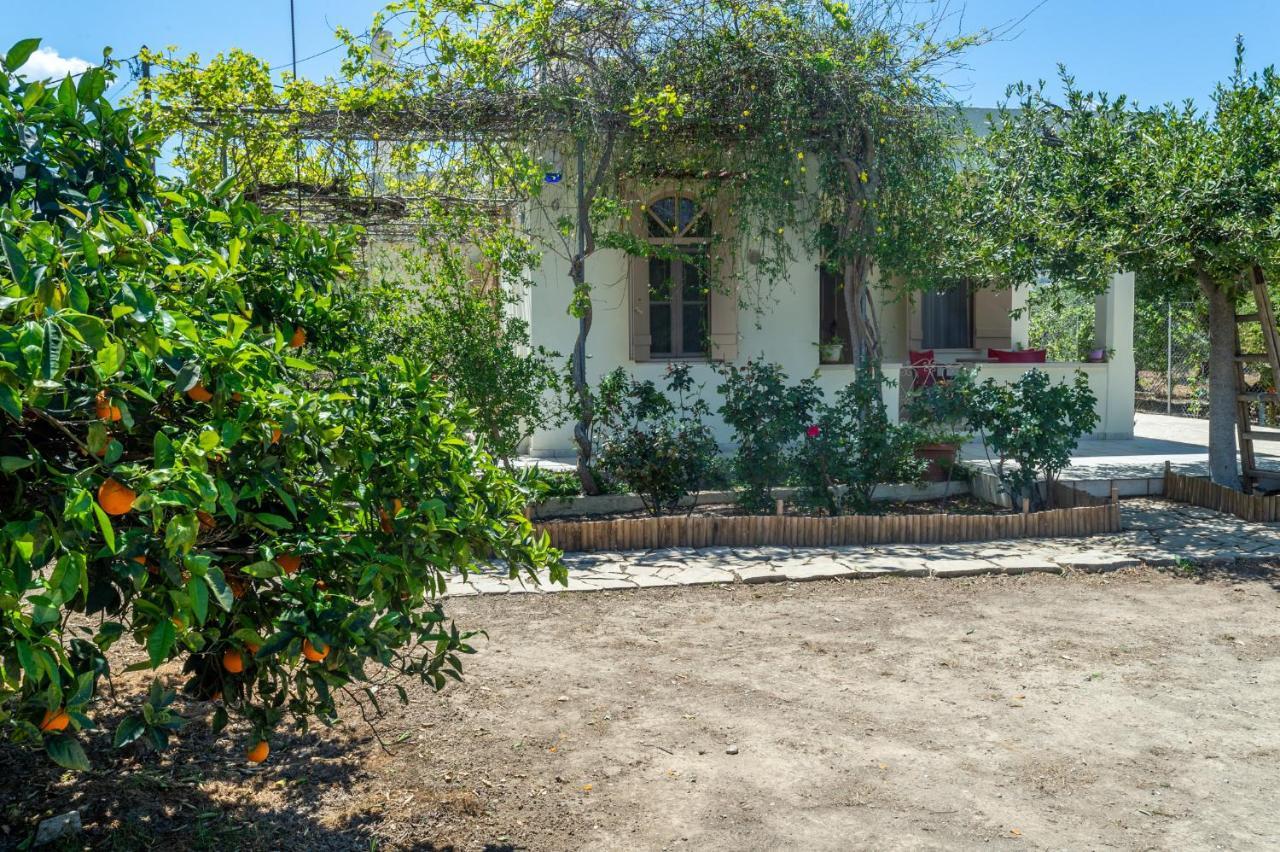 Holiday home Casa Cicala