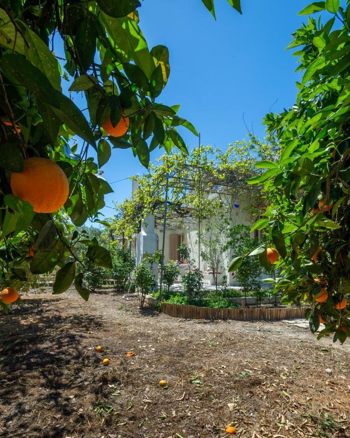 Casa Cicala Vakantiehuis